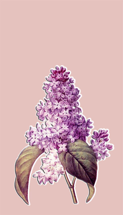 Personalised Case Silicone Gel Ultra Slim for All Motorola Mobiles - FLO113