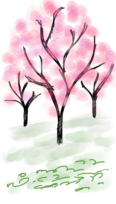 Personalised Case Silicone Gel Ultra Slim for All Motorola Mobiles - FLO272