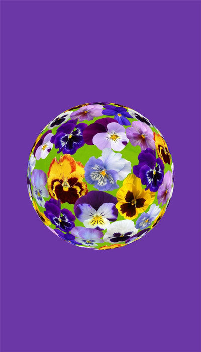 Personalised Case Silicone Gel Ultra Slim for All Motorola Mobiles - FLO342