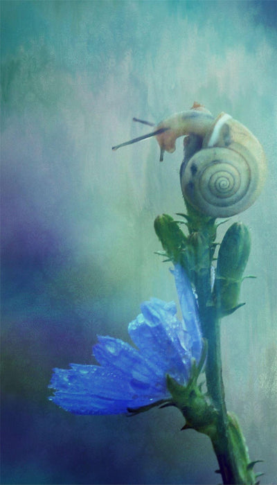 Personalised Case Silicone Gel Ultra Slim for All Motorola Mobiles - FLO286