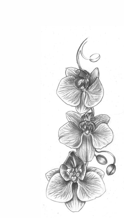 Personalised Case Silicone Gel Ultra Slim for All Motorola Mobiles - FLO307