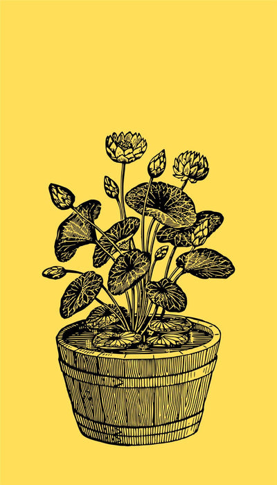 Personalised Case Silicone Gel Ultra Slim for All Motorola Mobiles - FLO239