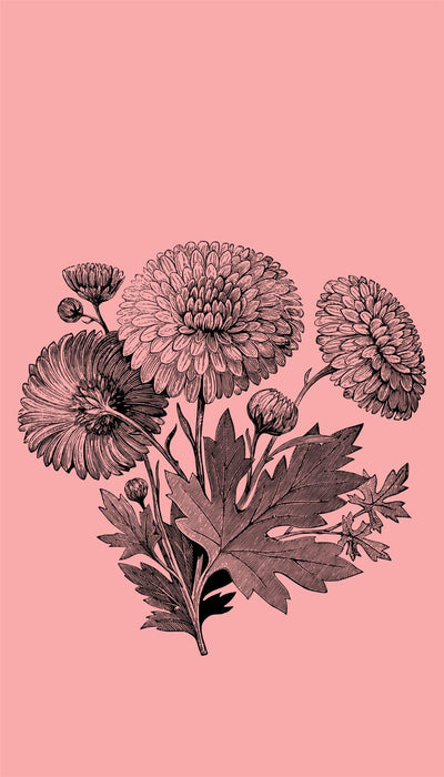 Personalised Case Silicone Gel Ultra Slim for All Motorola Mobiles - FLO276