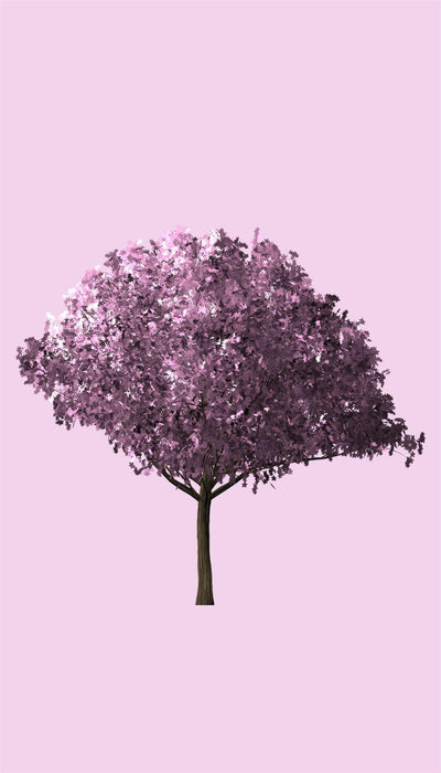 Personalised Case Silicone Gel Ultra Slim for All Motorola Mobiles - FLO225