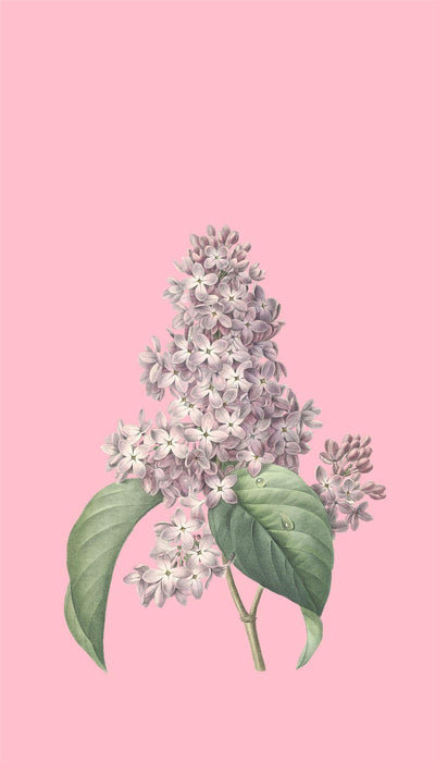 Personalised Case Silicone Gel Ultra Slim for All Motorola Mobiles - FLO250